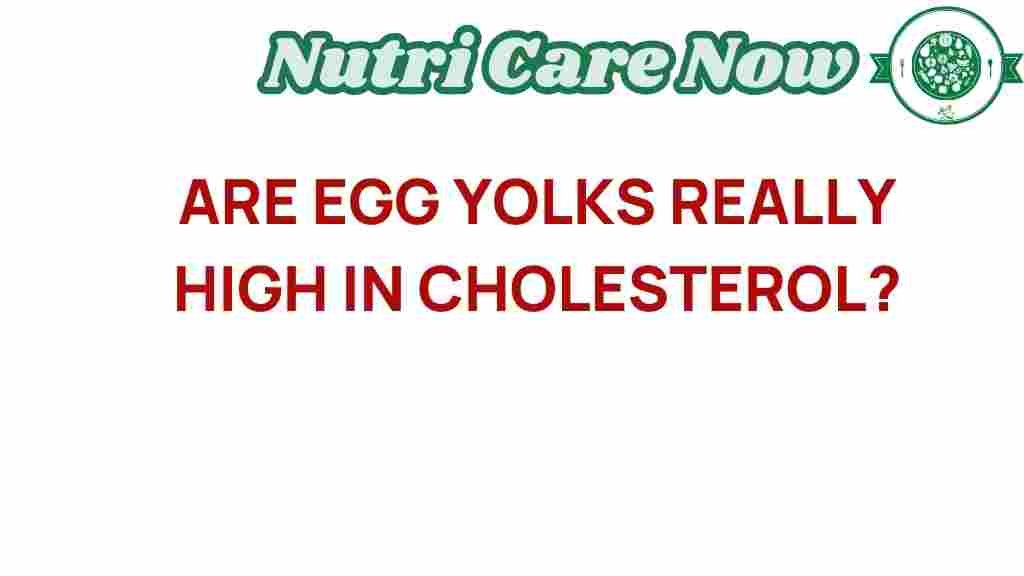 egg-yolks-really-high-in-cholesterol