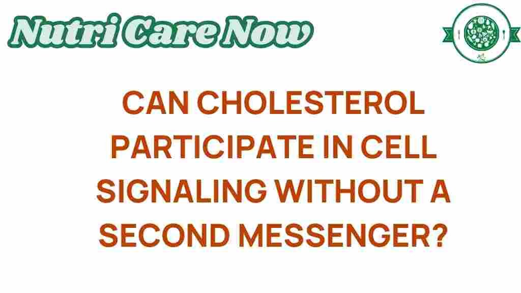 cholesterol-cell-signaling