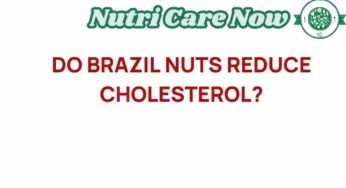 Uncovering the Truth: Do Brazil Nuts Really Lower Cholesterol?