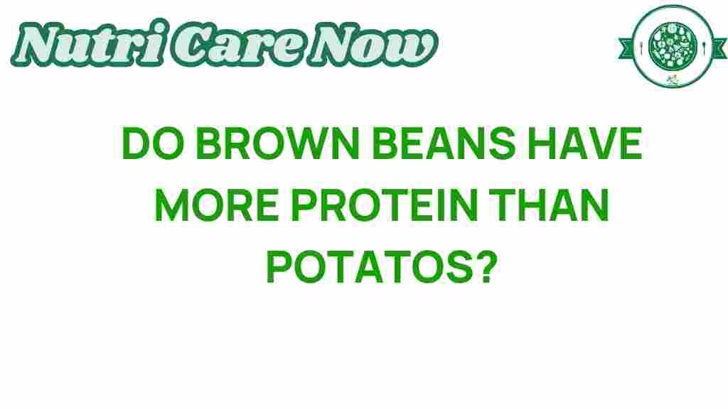 brown-beans-protein-comparison