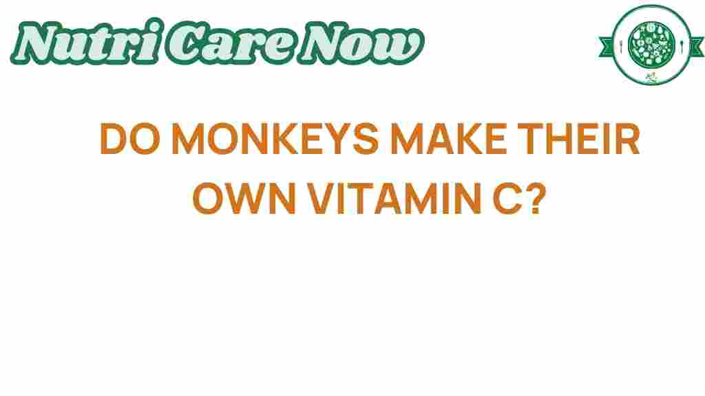 vitamin-c-monkeys