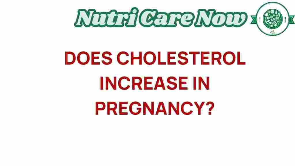 cholesterol-pregnancy-importance