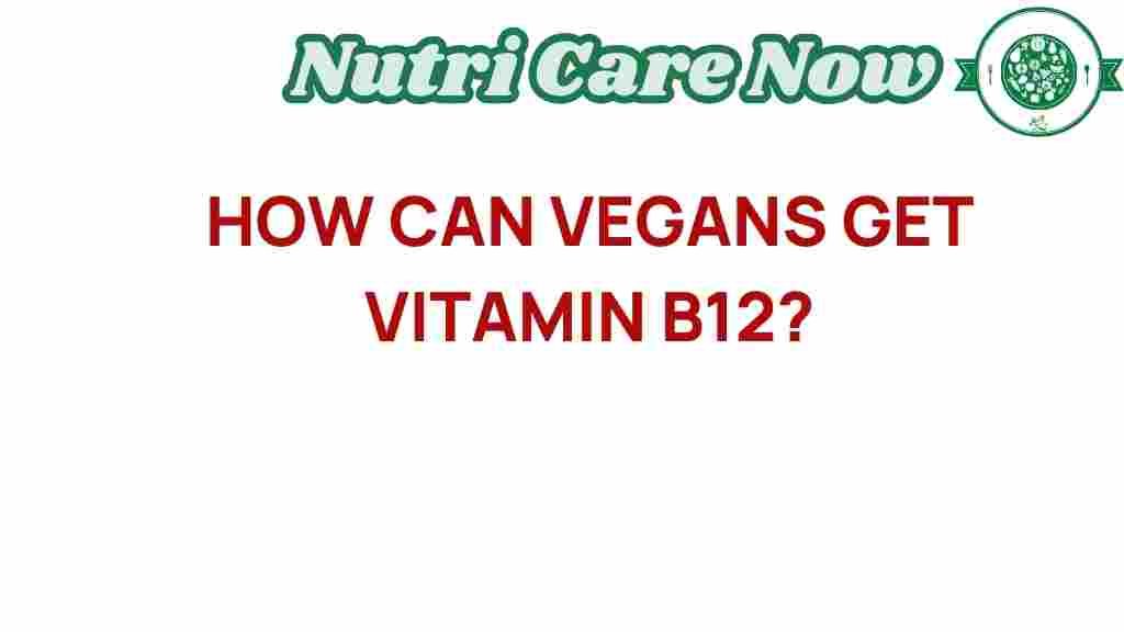 vegan-b12-sources