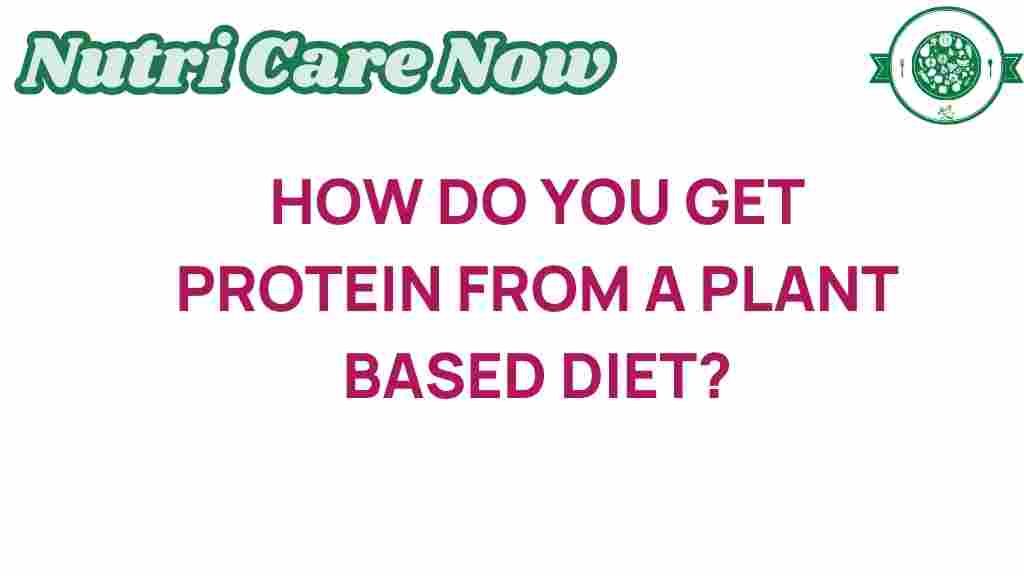 plant-based-protein-sources
