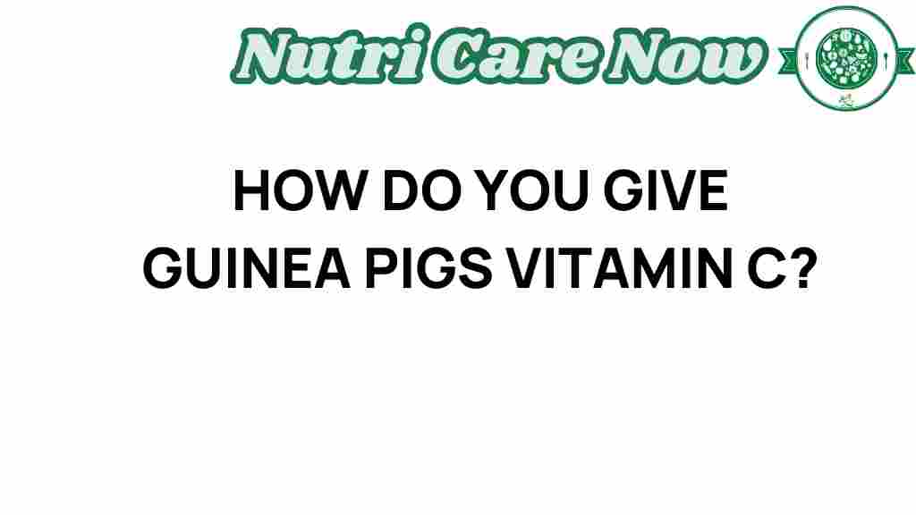 guinea-pig-vitamin-c-guide