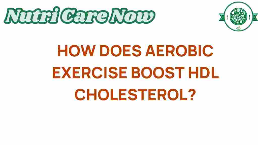 aerobic-exercise-boost-hdl-cholesterol