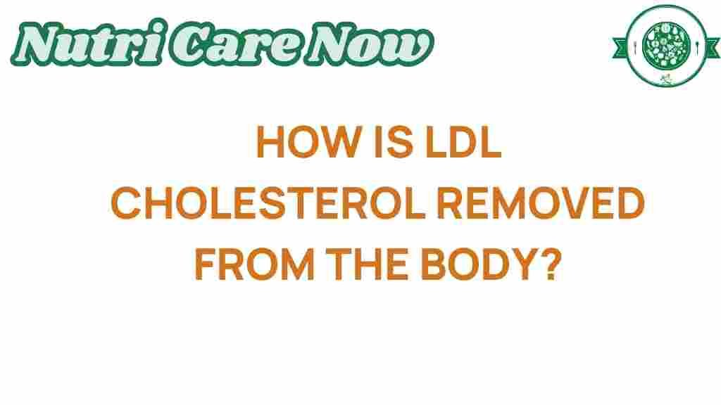 ldl-cholesterol-removal