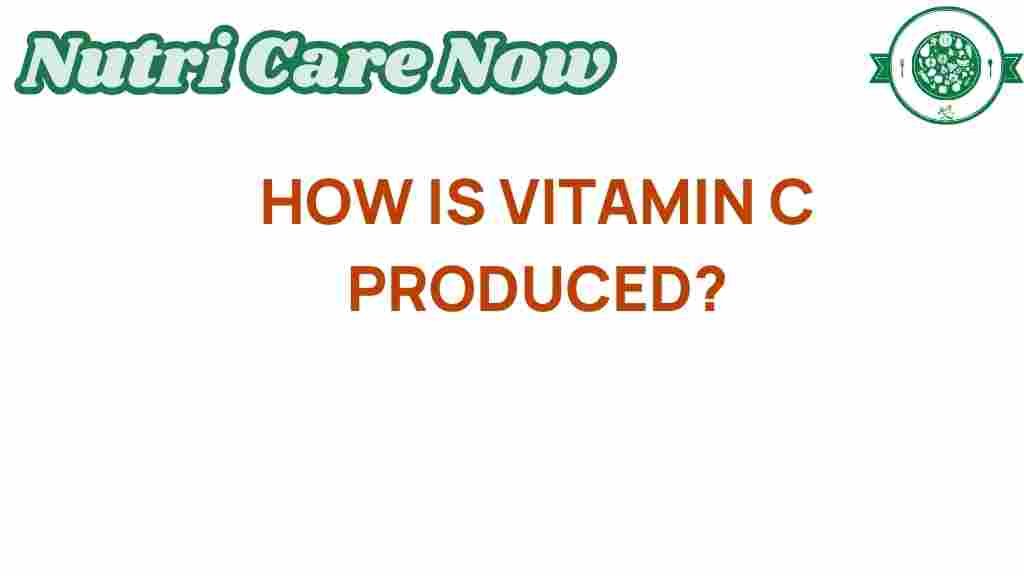 vitamin-c-produced