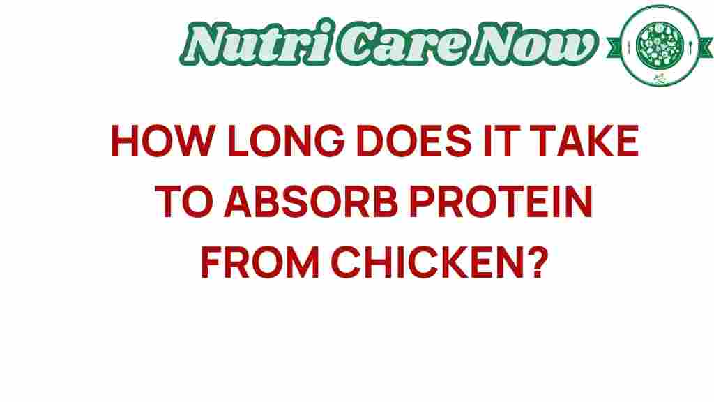 protein-absorption-chicken