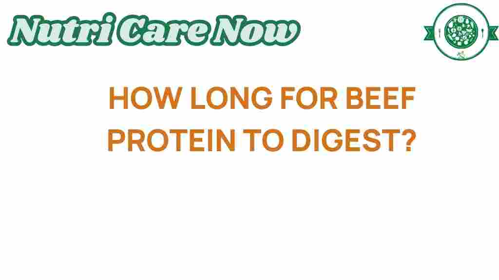 beef-protein-digest-time
