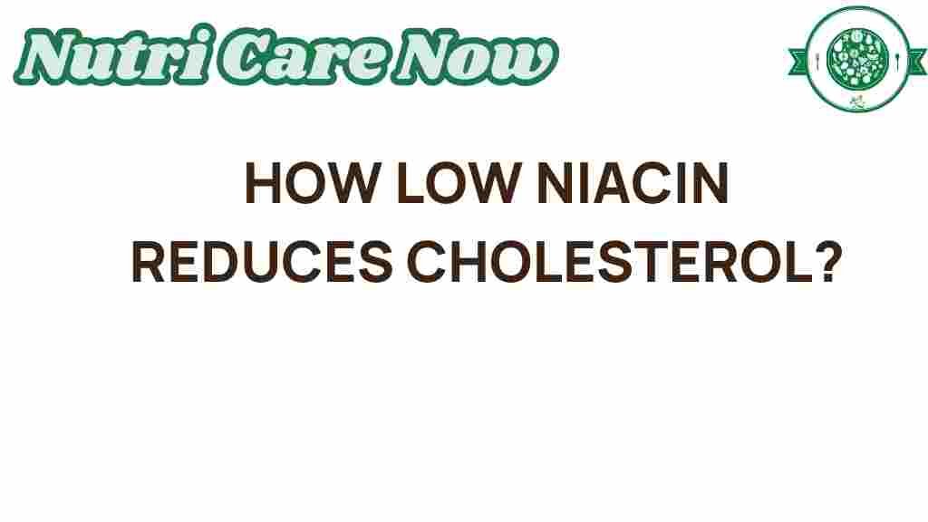 low-niacin-cholesterol-impact