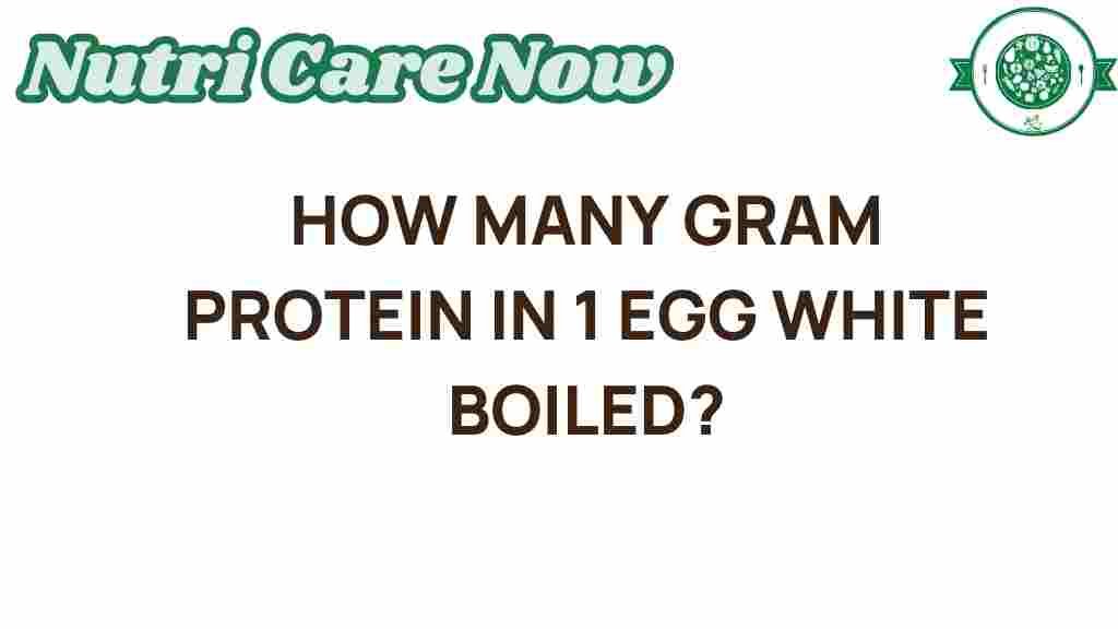 protein-in-boiled-egg-white