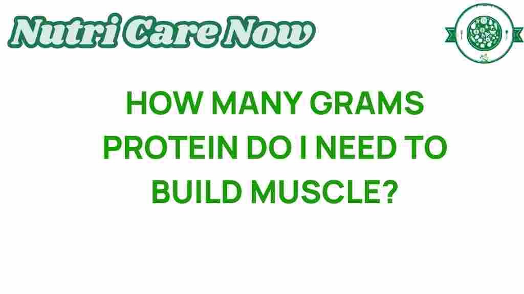 protein-needs-for-muscle-growth