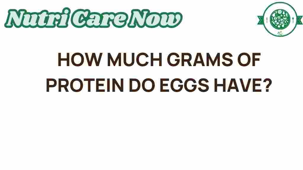 protein-in-eggs