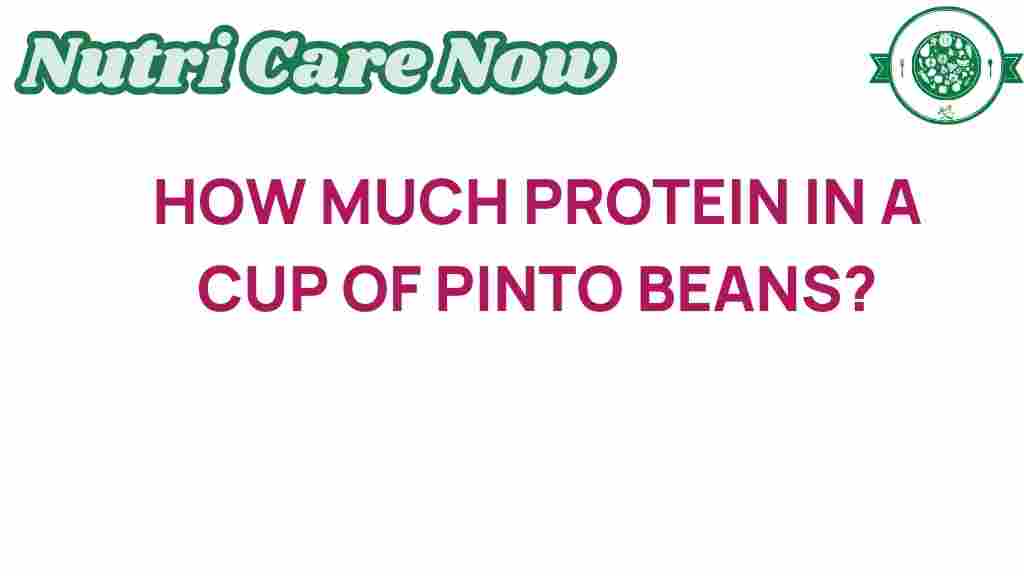 protein-in-cup-pinto-beans