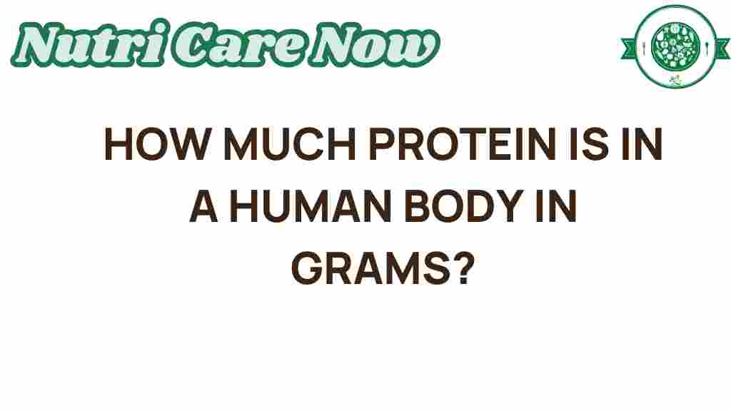 protein-content-in-human-body