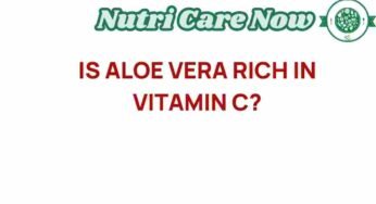 Unveiling Aloe Vera: Is It Truly a Vitamin C Powerhouse?