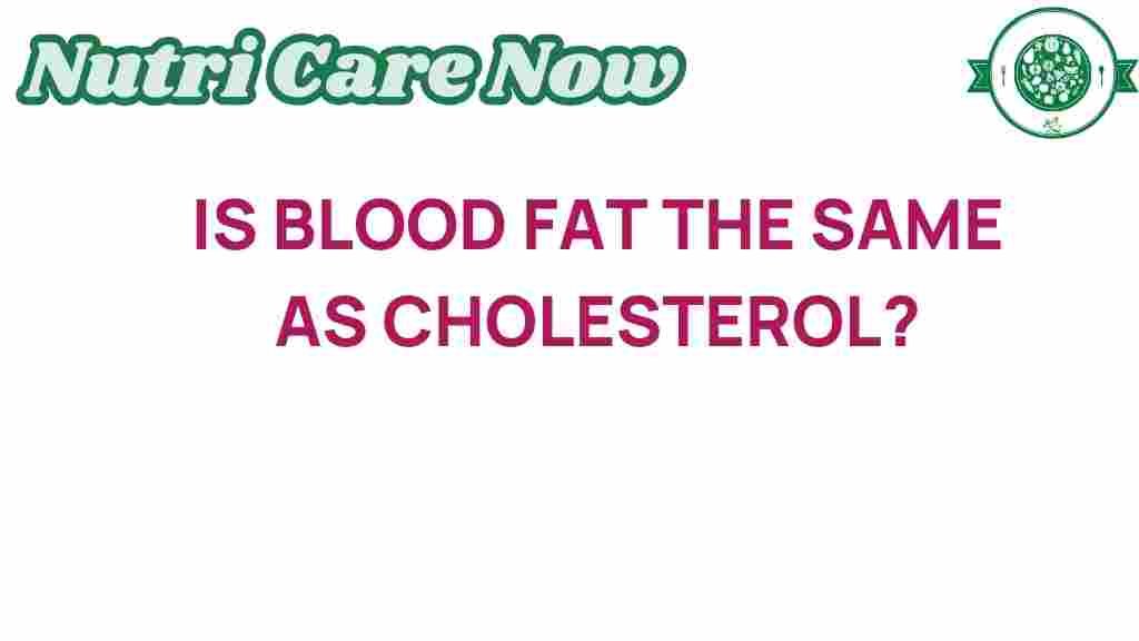 blood-fat-same-as-cholesterol