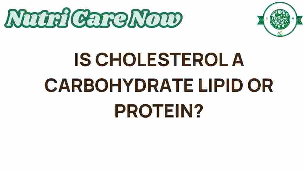 cholesterol-carbohydrate-lipid-protein