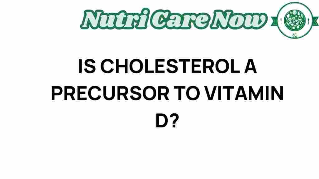 cholesterol-key-vitamin-d