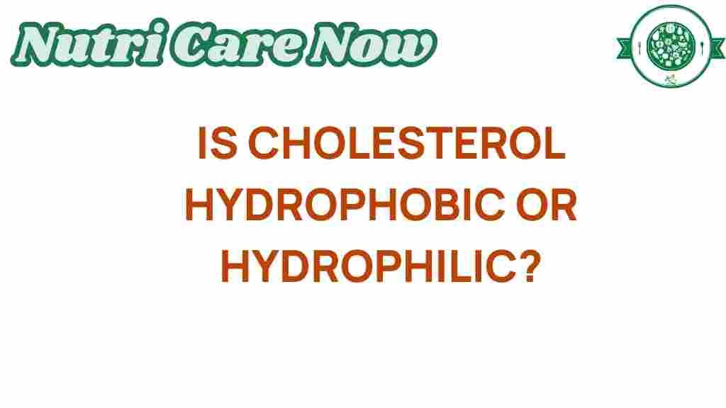 cholesterol-hydrophobic-hydrophilic