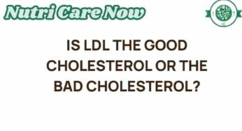LDL: The Cholesterol Enigma—Good or Bad for Your Health?