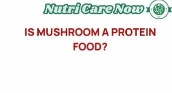 Unlocking the Protein Potential of Mushrooms: Are They the Next Superfood?