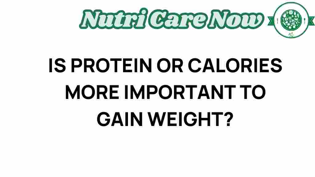 protein-or-calories-weight-gain