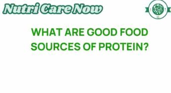 Unveiling the Best Food Sources of Protein: What You Need to Know