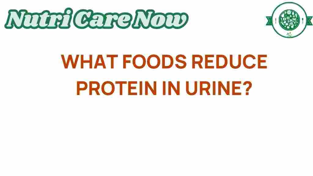 protein-in-urine-foods