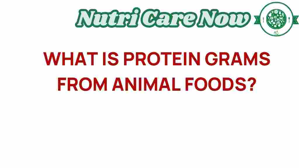 protein-grams-animal-foods