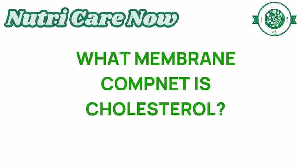 cholesterol-membrane-component
