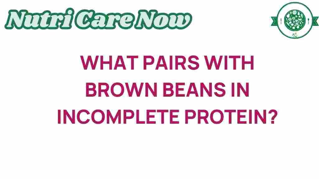 brown-beans-protein-pairings