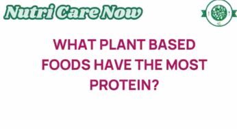 Unlocking the Secrets: Which Plant-Based Foods Pack the Most Protein?