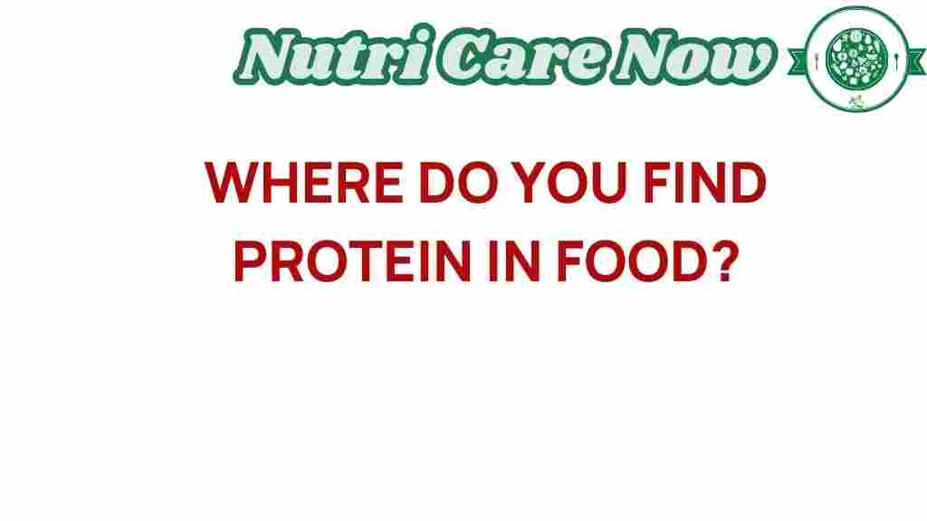 find-protein-in-food