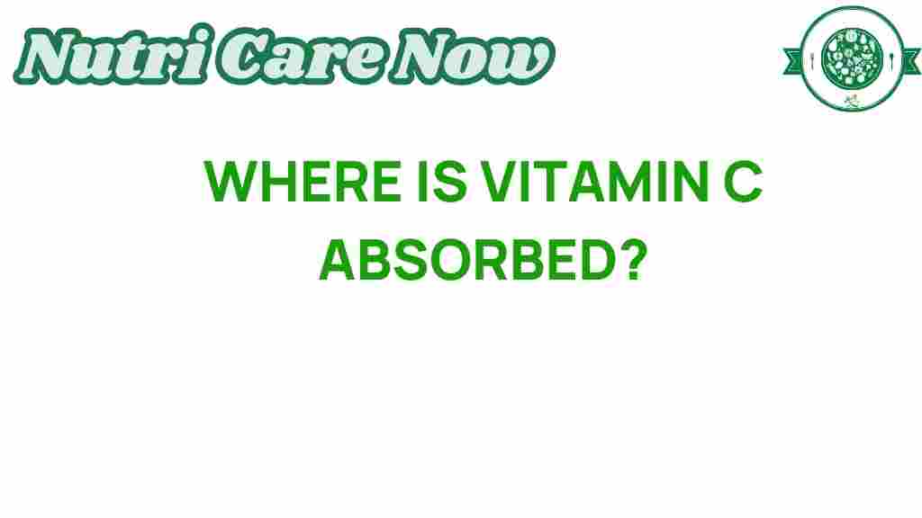 vitamin-c-absorption