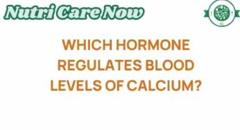 Unveiling the Hormonal Secret Behind Calcium Regulation