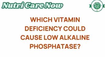 Unraveling the Mystery: Which Vitamin Deficiency Affects Alkaline Phosphatase Levels?