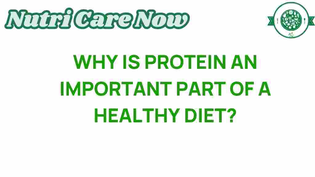 protein-importance-healthy-diet